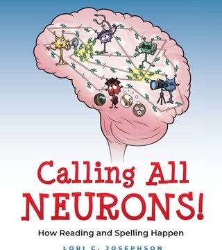 Calling All Neurons!: How Reading and Spelling Happen