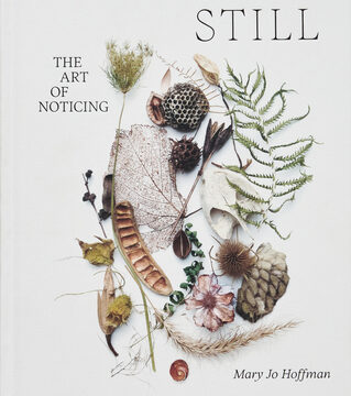 Still: The Art of Noticing