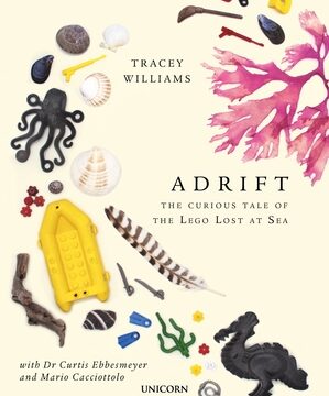 Adrift: The Curious Tale of the Lego Lost at Sea