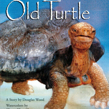Old Turtle