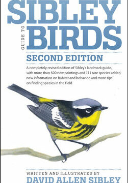 Sibley Guide to Birds
