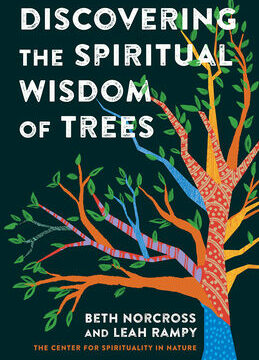 Discovering the Spiritual Wisdom of Trees