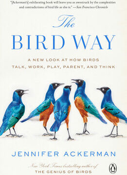 Bird Way: A New Look at How Birds Talk, Work, Play, Parent, and Think