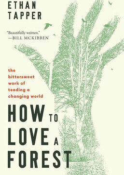 How to Love a Forest: The Bittersweet Work of Tending a Changing World