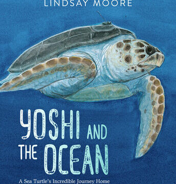 Yoshi and the Ocean: A Sea Turtle's Incredible Journey Home