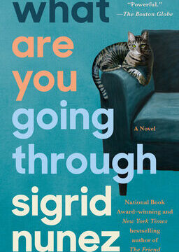 What Are You Going Through