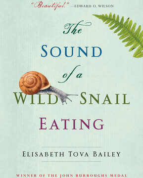 Sound of a Wild Snail Eating
