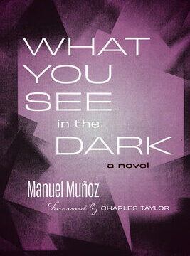 What You See in the Dark