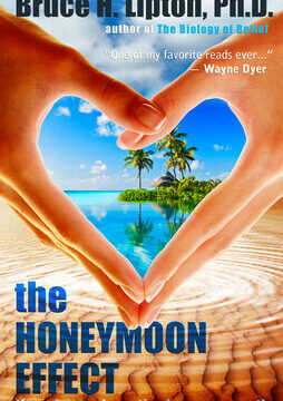 Honeymoon Effect: The Science of Creating Heaven on Earth