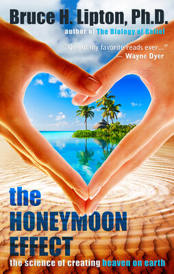 Honeymoon Effect: The Science of Creating Heaven on Earth