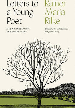 Letters to a Young Poet: A New Translation and Commentary