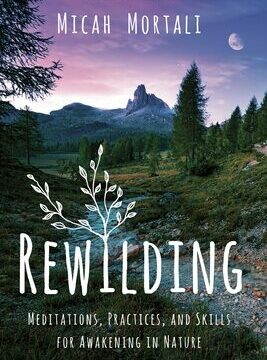 Rewilding: Meditations, Practices, and Skills for Awakening in Nature