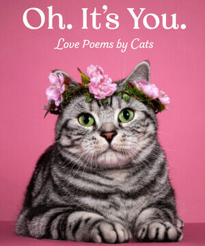 Oh. It's You.: Love Poems by Cats
