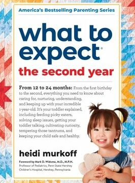 What to Expect the Second Year: From 12 to 24 Months