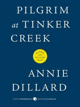 Pilgrim at Tinker Creek