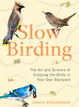 Slow Birding: The Art and Science of Enjoying the Birds in Your Own Backyard