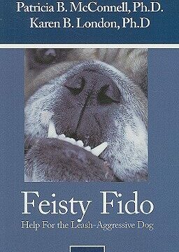 Feisty Fido: Help for the Leash Aggressive Dog