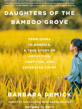 Daughters of the Bamboo Grove: From China to America, a True Story of Abduction, Adoption, and Separated Twins