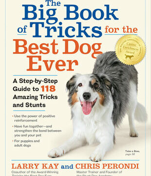Big Book of Tricks for the Best Dog Ever: A Step-By-Step Guide to 118 Amazing Tricks and Stunts