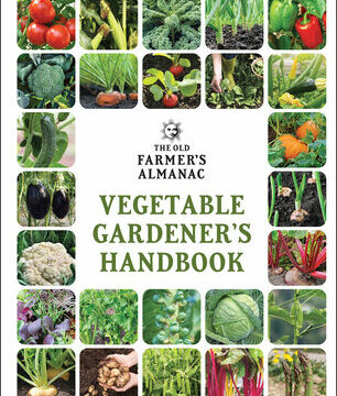 Old Farmer's Almanac Vegetable Gardener's Handbook