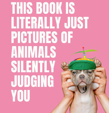 This Book Is Literally Just Pictures of Animals Silently Judging You