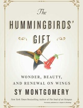 Hummingbirds' Gift: Wonder, Beauty, and Renewal on Wings